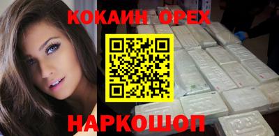 крисы Новодвинск