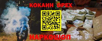 крисы Новодвинск