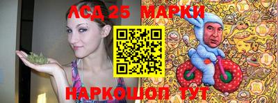 гидра Новозыбков