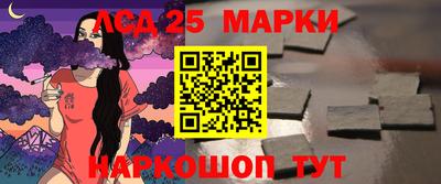 гидра Новозыбков