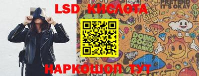 крисы Новодвинск