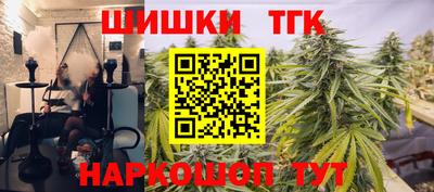 крисы Новодвинск