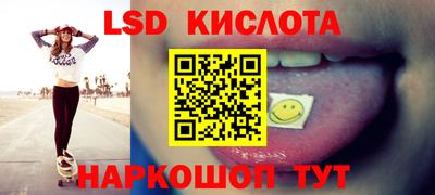 гидра Новозыбков
