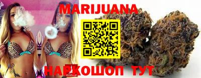 гидра Новозыбков