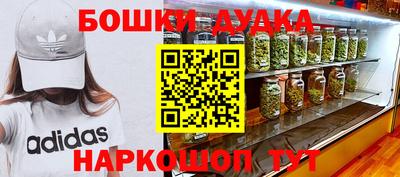 крисы Новодвинск