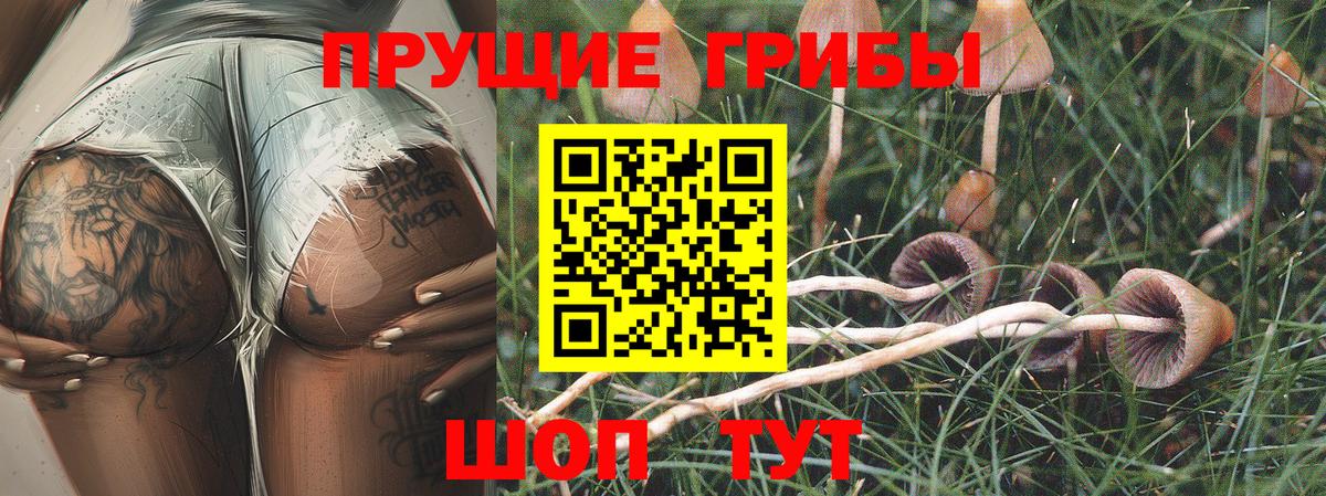 Псилоцибиновые грибы MAGIC MUSHROOMS Тверь